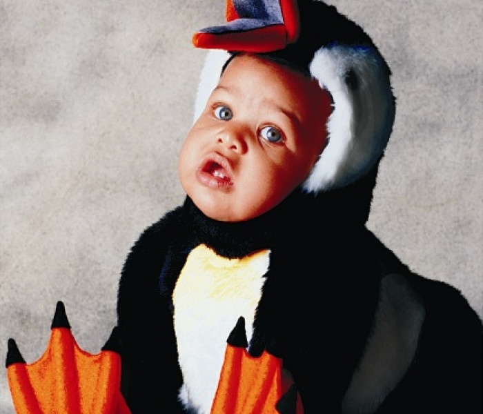 Puzzle - Spiel Spass - Pinguin